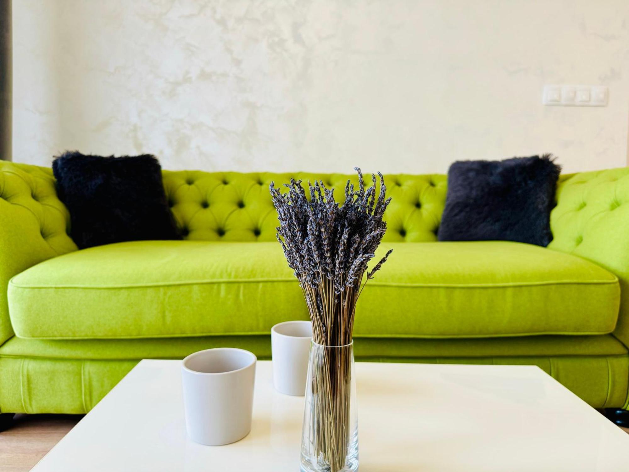 Joy City Stay Forest 84 Timisoara Esterno foto